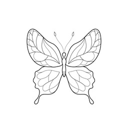 Butterfly contour design for coloring, stained glass and decoration.