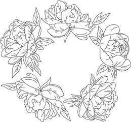 Frame made of hand-drawn peonies, isolated vector illustration for cards, invitations, decoration, elegant line art style