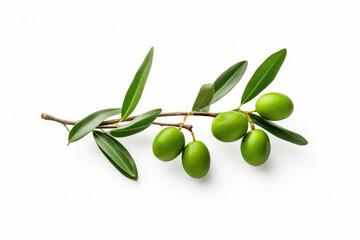 Olive branch with green fruits olives and leaves on a white background. Object for your design, mockup. Olives for making oil and natural cosmetics