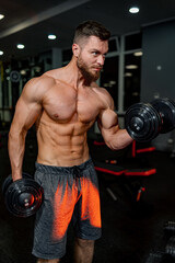 Fototapeta na wymiar Muscular man trains his biceps with dumbbells in the gym.