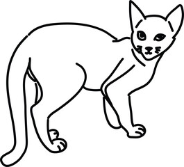 Organic Cat vector outline