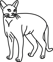 Organic Cat vector outline