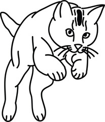 Organic Cat vector outline