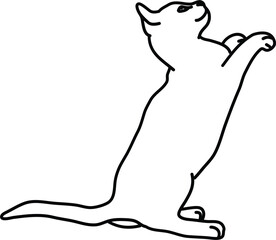 Organic Cat vector outline