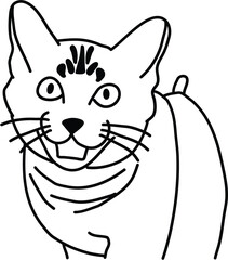 Organic Cat vector outline