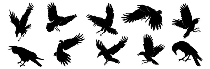 set of silhouettes of crow - obrazy, fototapety, plakaty