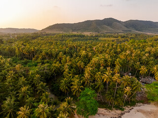 Mountain View and forest sunset. Natural views of height, trees and sky with the evening atmosphere. Drone photography For background, long vacation, tourism and feeling warm