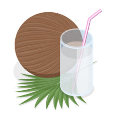 3D Isometric Flat Vector Set of Cocount Elements, Natural Eco-Friendly Products. Item 2