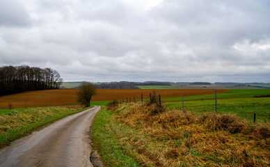 Panorama in a rural landscape in the French Ardennes
