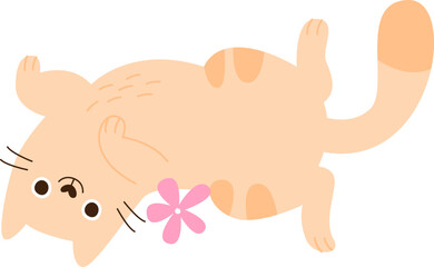 Cat With Flower Lying