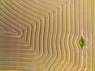 Aerial view of harvester lines and patterns on rural farmland