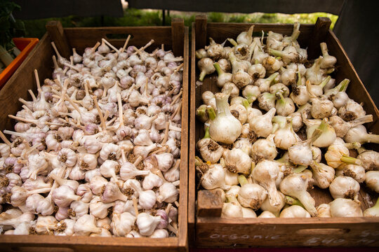 crates of different varieties of garlic for sale at the markets
