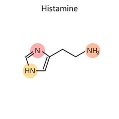 Chemical organic formula of histamine diagram hand drawn schematic vector illustration. Medical science educational illustration