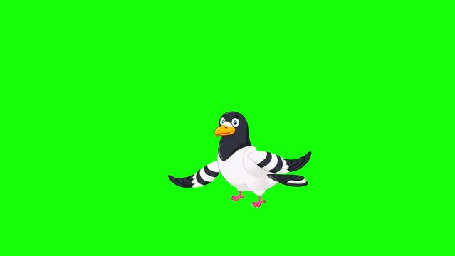 penguin fly green screen 