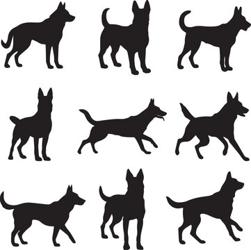 Belgian Malinois Dog Silhouette Collection