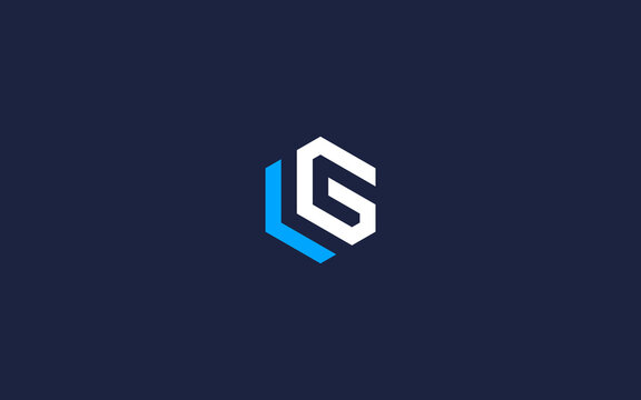 letter lg hexagon logo icon design vector design template inspiration