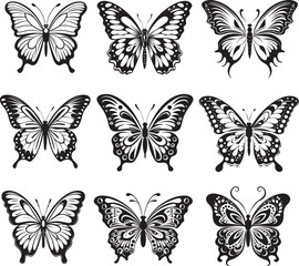 Butterfly Vector Illustration Collection