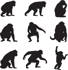 Chimpanzee Silhouette