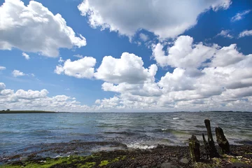 Foto op Plexiglas Uitzicht over de Oosterschelde in Zeeland, Nederland met een bewolkte lucht © ArieStormFotografie