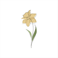Continuous one simple single abstract line drawing of a daffodil flower icon in silhouette on a white background. Linear stylized.