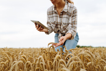 A woman farmer examines the field of cereals and sends data to the cloud from the tablet. Smart...