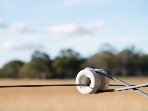 Electric Fence Insulator