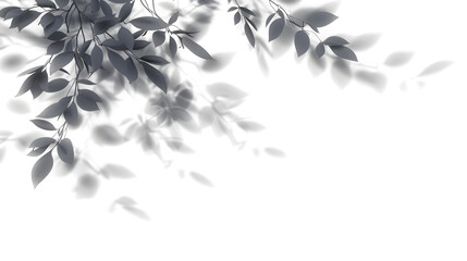 Shadow spa leaves flowing movement isolate transparent backgrounds - obrazy, fototapety, plakaty