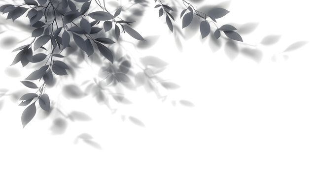 Shadow spa leaves flowing movement isolate transparent backgrounds