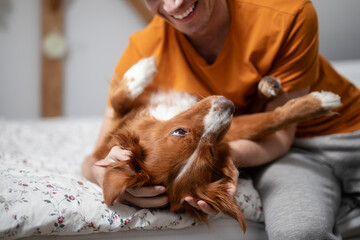 Smiling man with dog. Happy pet owner playing with his Nova Scotia Duck Tolling Retriever at home..