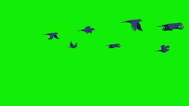 2d flock birds horizontal flying sky 4k green screen animation 