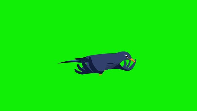2d bird flying frame by frame animation 4k screen green