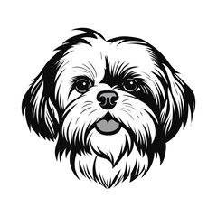 shitzu dog face vector Illustration