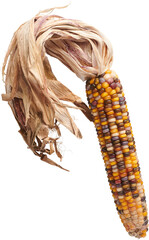 LAYER-LAB_0710228046_LC