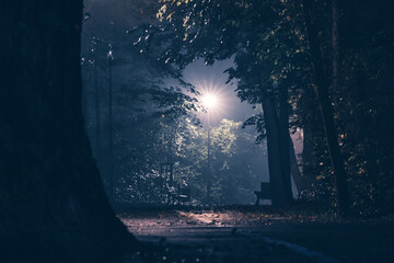 ciemny i mroczny park w nocy oświetlony latarnią we mgle - obrazy, fototapety, plakaty