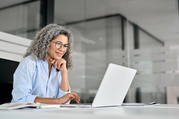 Happy older mature business woman entrepreneur in office using laptop at work, smiling professional...