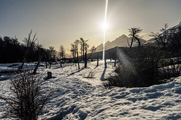 Winter in the Andes mountain range, golden hour. Tierra del fuego, Ushuaia