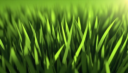 Fototapeta na wymiar green grass in the wind closeup background 