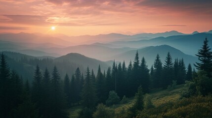 Forest and mountains