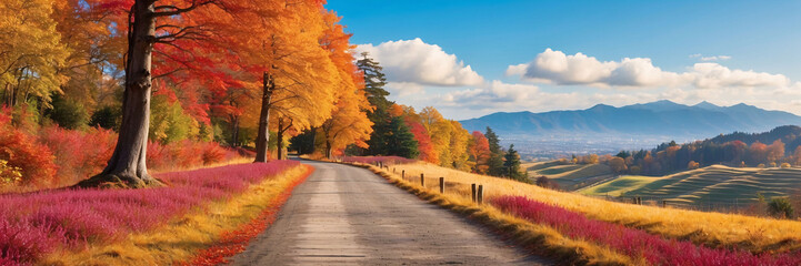 Fototapeta na wymiar Colorful trees and footpath road in autumn landscape in forest. autumn colors in the forest. colorful leaves of autumn in nature. autumn season in japan. colorful forest landscape. Rural landscape.