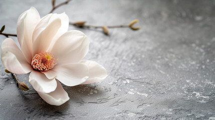 white flower on a wooden background
