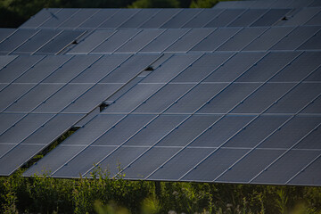 Close up of a solar panel energy farm. Located in Latvia, loads of panels. Green energy. Trying to...