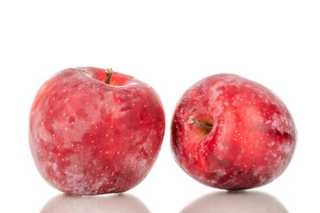 Two red sweet apples, macro, isolated on white background.