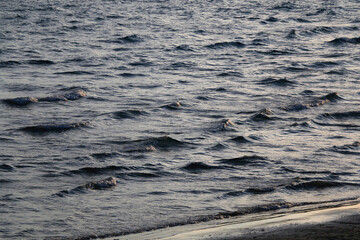 Bright blue sea surface, close-up.