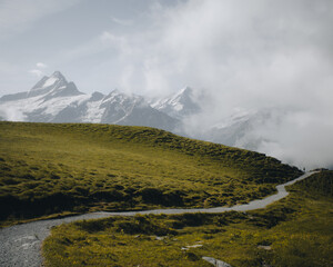 Krajobraz górski w Alpach