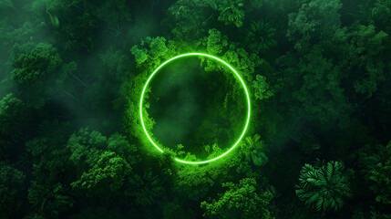 neon green circle in the middle of the forest, illuminating the dense forest, emphasizing the lush greenery and intricate leaf patterns