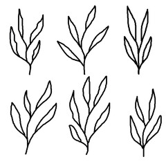 hand drawn leaf line art