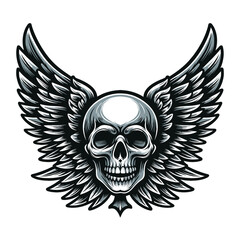 Skull wings vector illustration, winged skull badge emblem template suitable for apparel t-shirt, poster, motorbike club logo, tattoo. Design isolated on white background