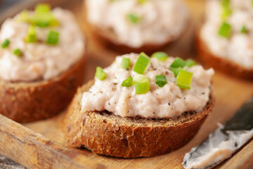 Tuna Pate Bruschetta with green onion, fish rillettes on wooden board