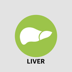 Human liver medical vector icon. simple Vector liver isolated on a white background. liver care logo vector design template - EPS 10