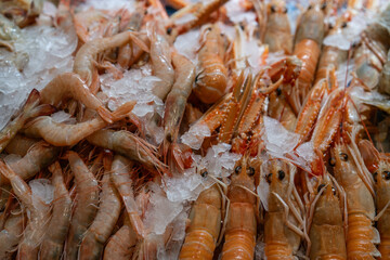 fresh shrimp and crayfish on ice